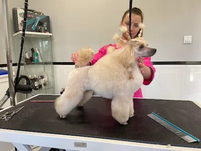 Studio Groom Karolina Dudzik